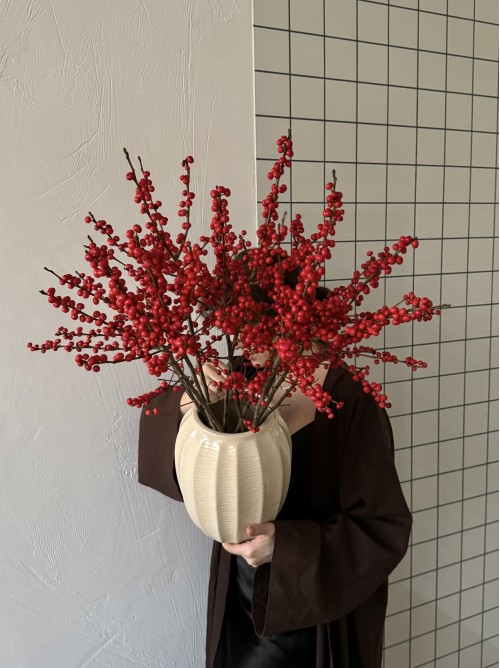 Красные ветки с ягодами илекса