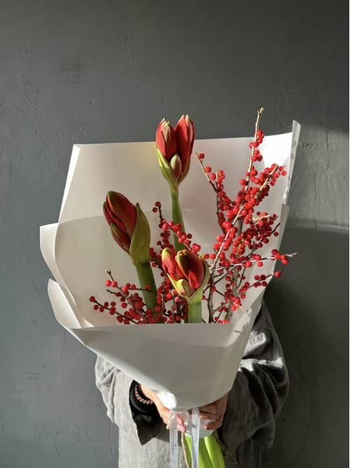 Красные амариллисы с ветками илекса