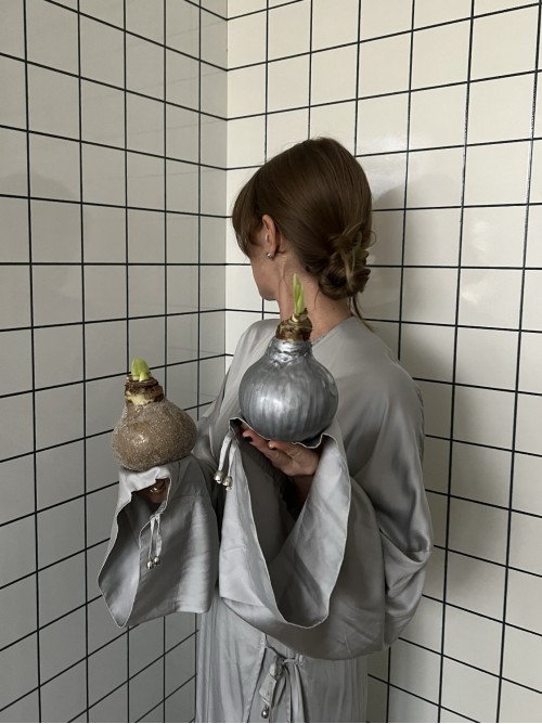 Луковица амариллиса в воске (в ассортименте)