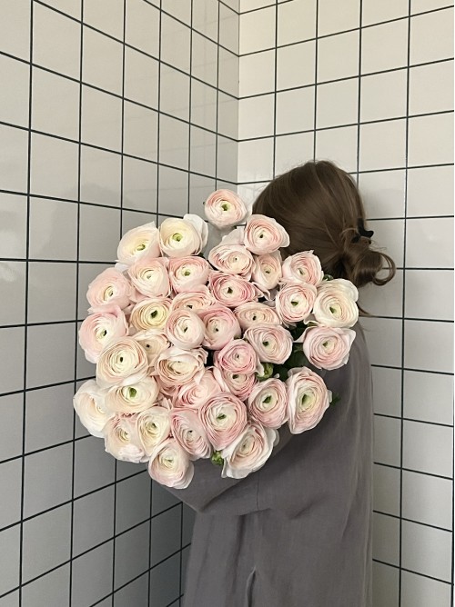 Букет из 35 кремовых ранункулюсов