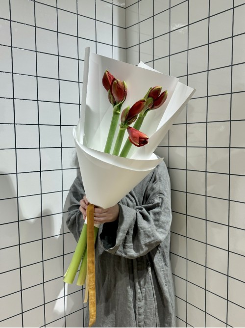 Букет красных амарилисов (3 шт.)