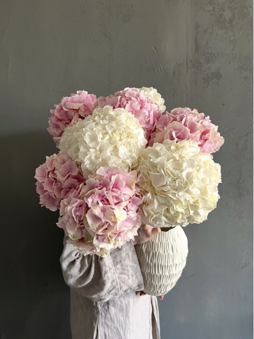 Букет пышных гортензий