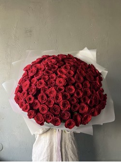 101 красная роза (50)