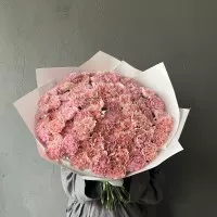 Букет розовых диантусов (микс оттенков)