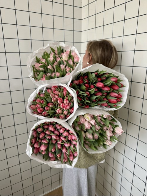 Монобукет из тюльпанов (оттенок на выбор)