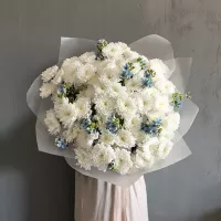 Охапка белых кустовых хризантем Coconut