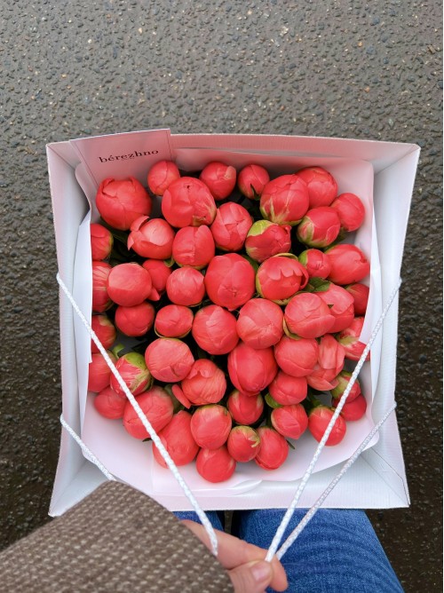 Пионы «CORAL»