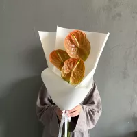 Букет антуриумов (3 шт.)