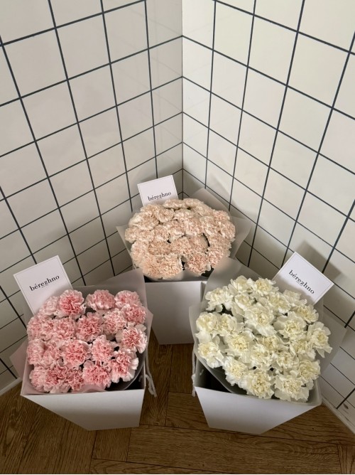 Монобукет из диантусов (цвет на выбор)