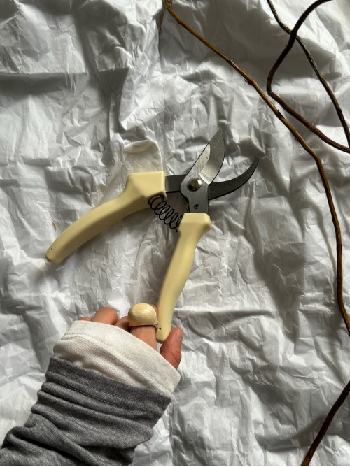 Секатор для цветов