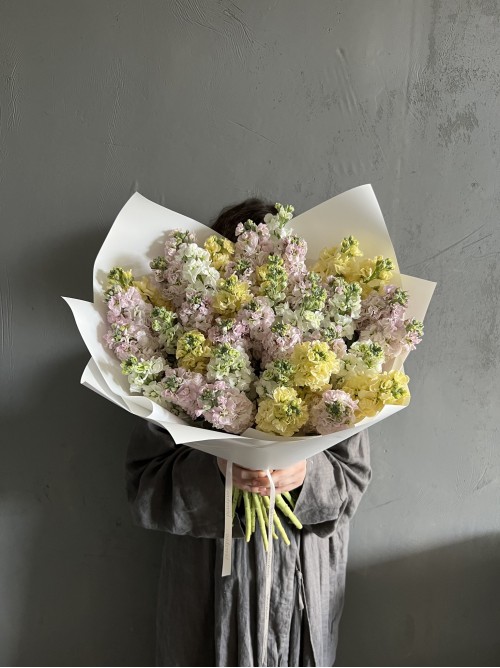 Цветы ароматной маттиолы