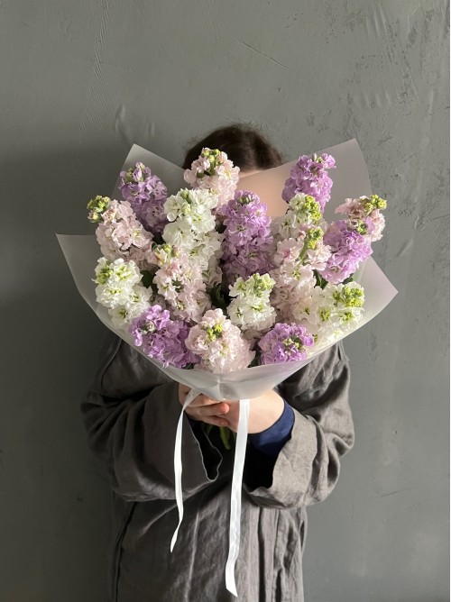 Нежный микс ароматной маттиолы