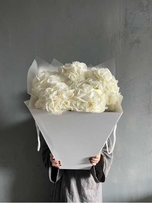 Белоснежные гортензии в матовой пленке