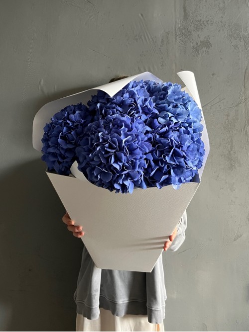 Яркий букет синих гортензий