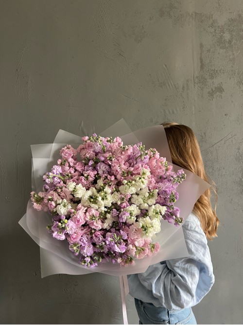 Большой букет маттиолы в нежном оттенке