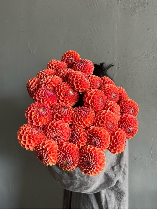 Букет из георгин